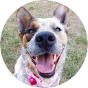 Cornelia profile picture