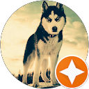 Kalmia Salmon profile picture